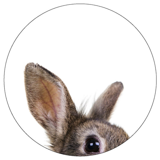 Aluboard "Hase" - dekoboards