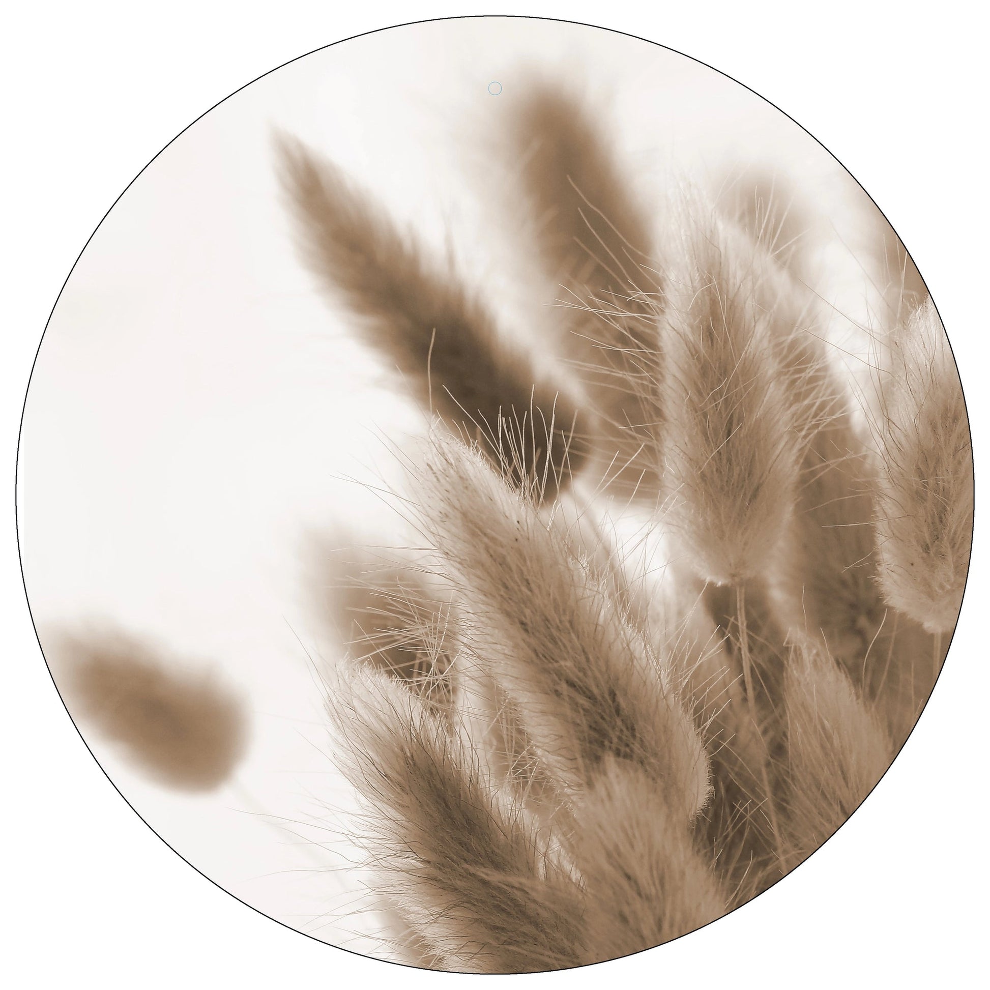 Aluboard "Lagurus"  - dekoboards