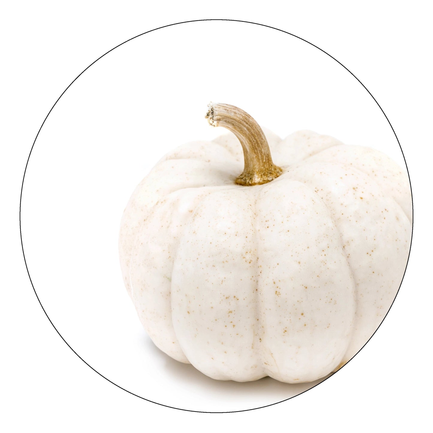 Dekoboard "Kürbis/Pumpkin" - dekoboards