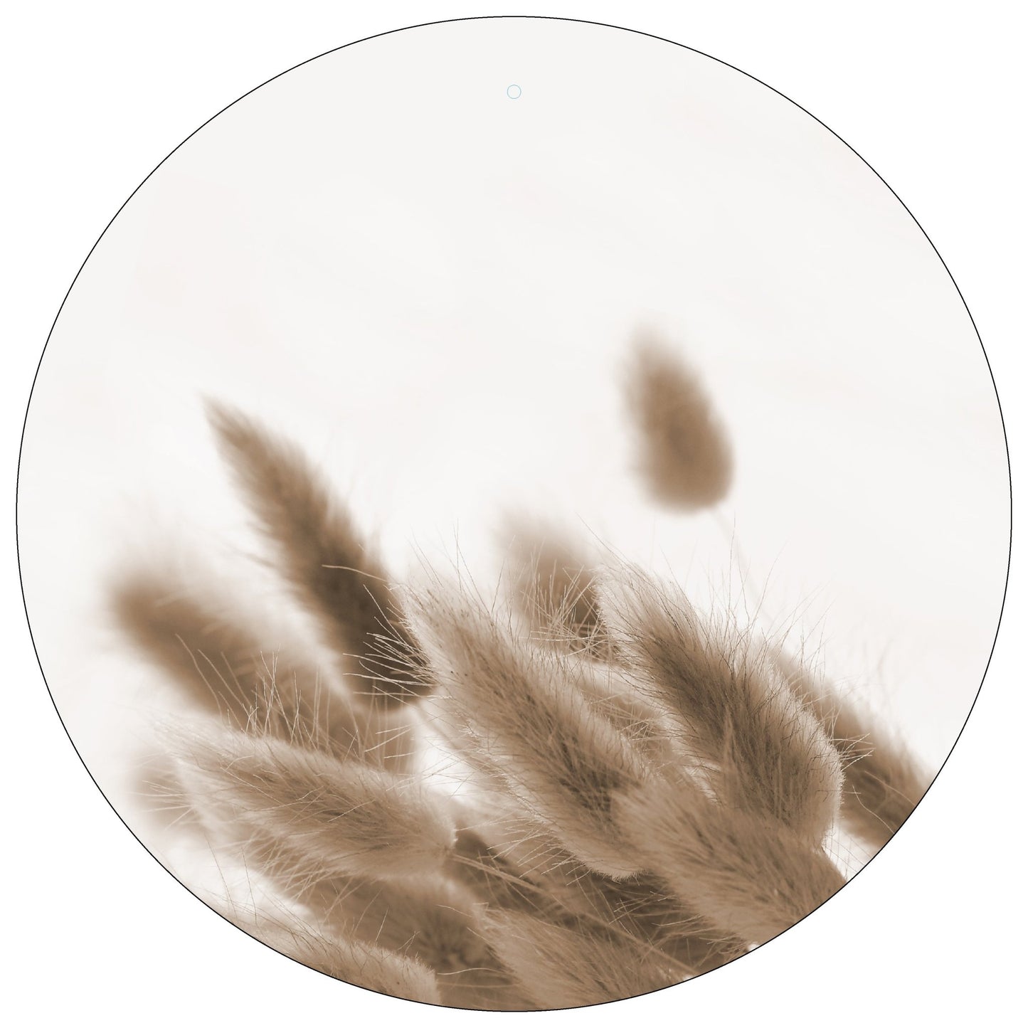 Personalisiertes Board "Willkommen, Lagurus" - dekoboards