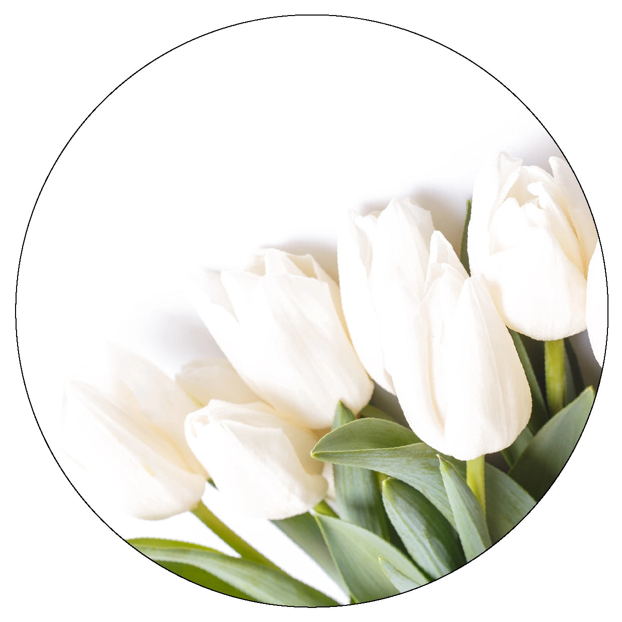 Dekoboard Maxi "Tulpenliebe"