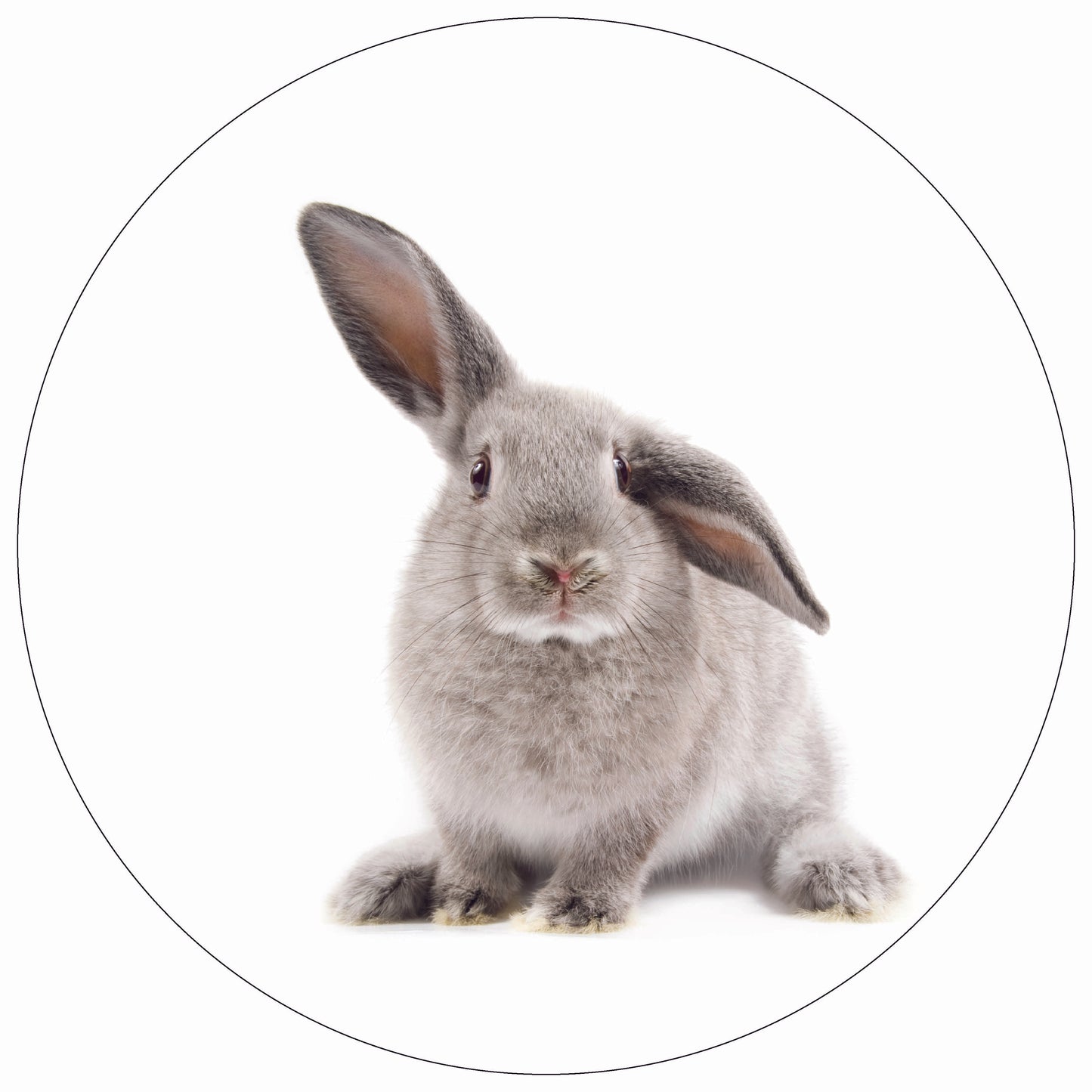Dekoboard Mini "Osterhase/Küken"